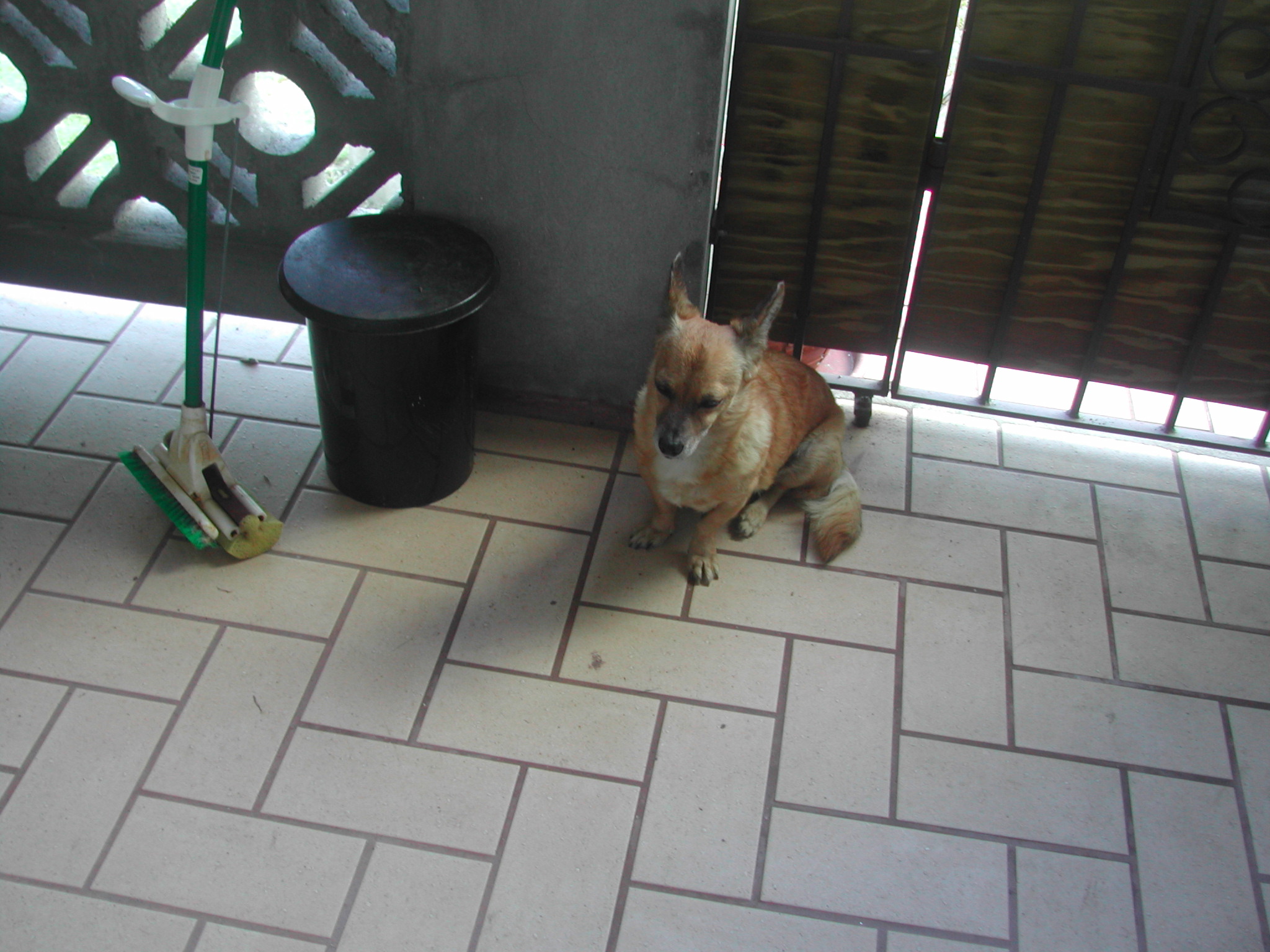 DSCN0237.JPG